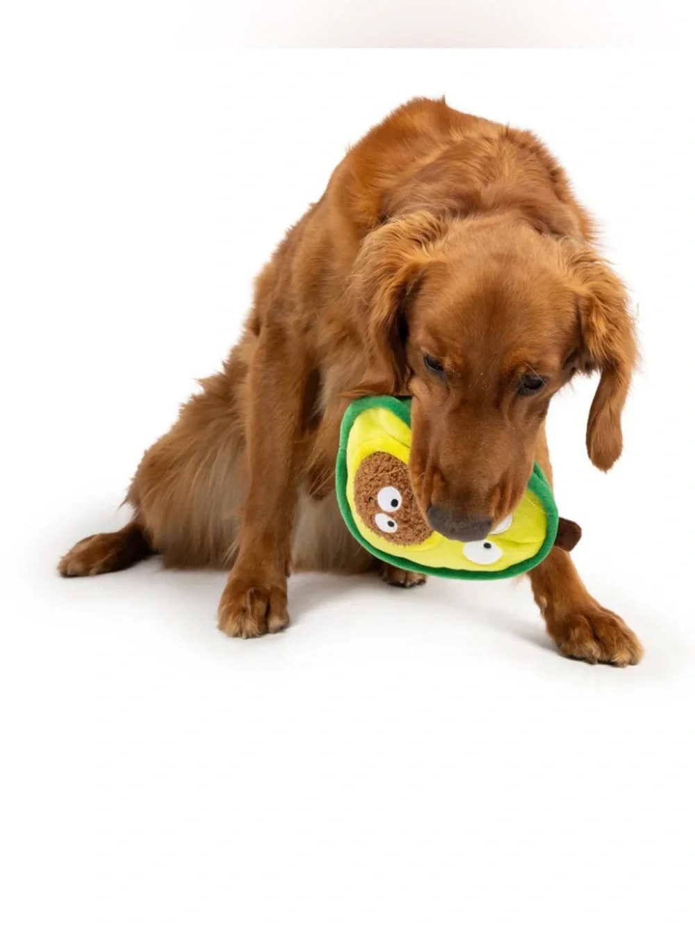 Wild & Woofy LETS PLAY! Avacado Plush Squeak Toy Small & Medium Dogs Durable NWT